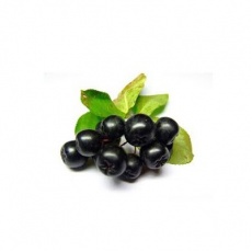 Φρέσκα Βιολογικά Μούρα Αρώνια (Aronia Berries) "Aronia Fresh Fruits" 125γρ